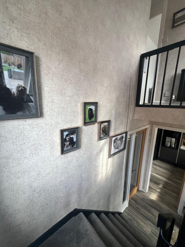 53e48b57-e7e8-4ce0-8292-abce4b790891