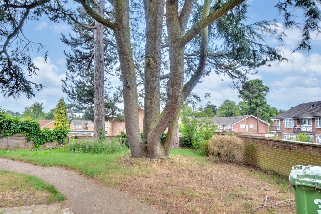 Communal Garden.jpeg