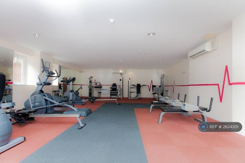 Gym 3