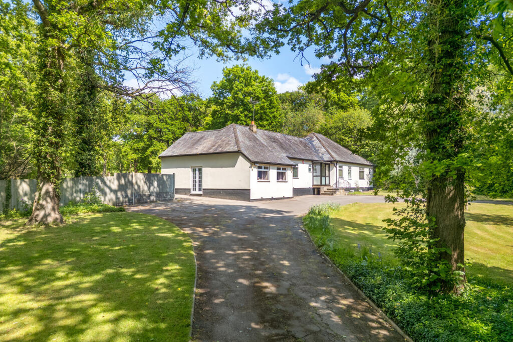 10-681c96d844c2f-...