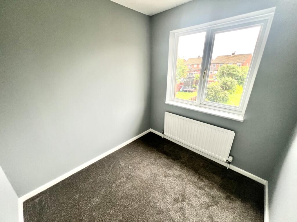 IMG_3684