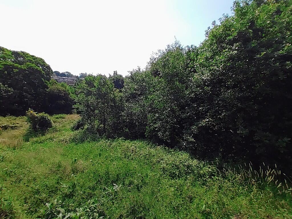 IMG_20230612_1039...