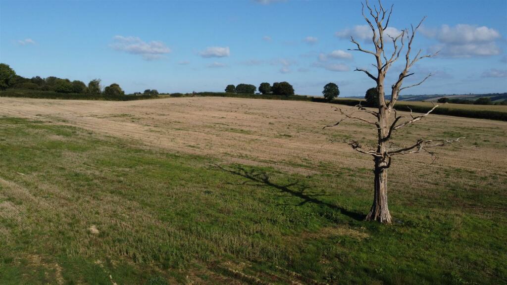 DJI_0445.JPG