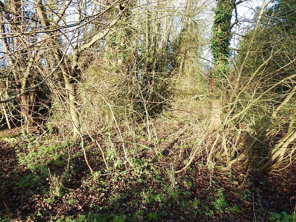6 T202502241327.jpg