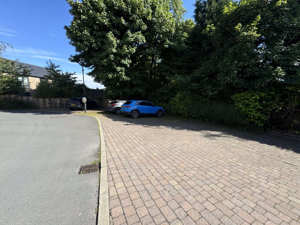Photo 31