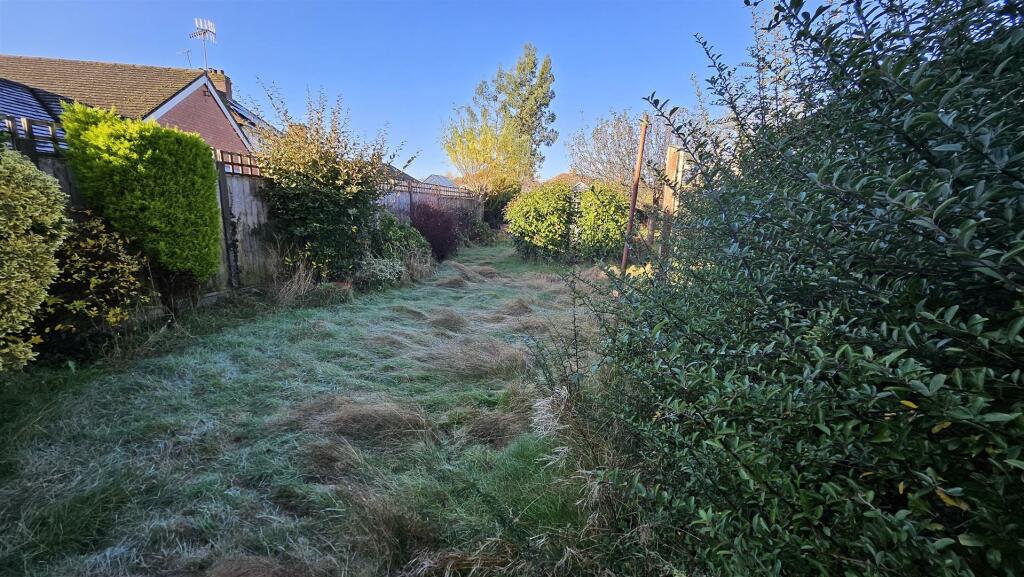 Garden 4.jpg