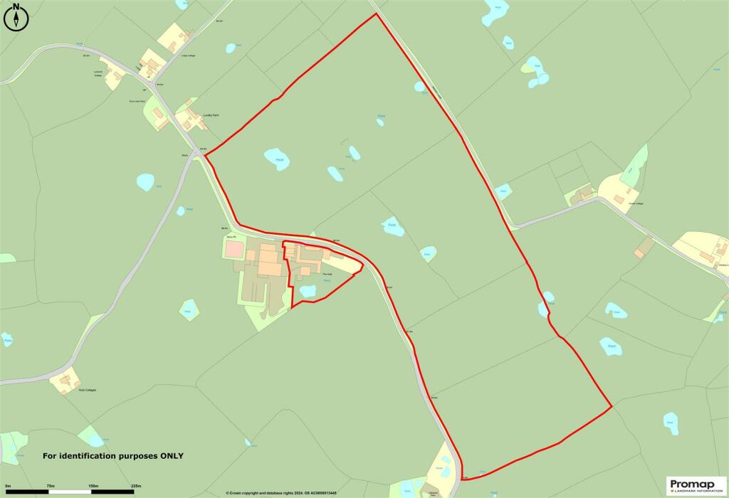 Promap - The Hully.jpg