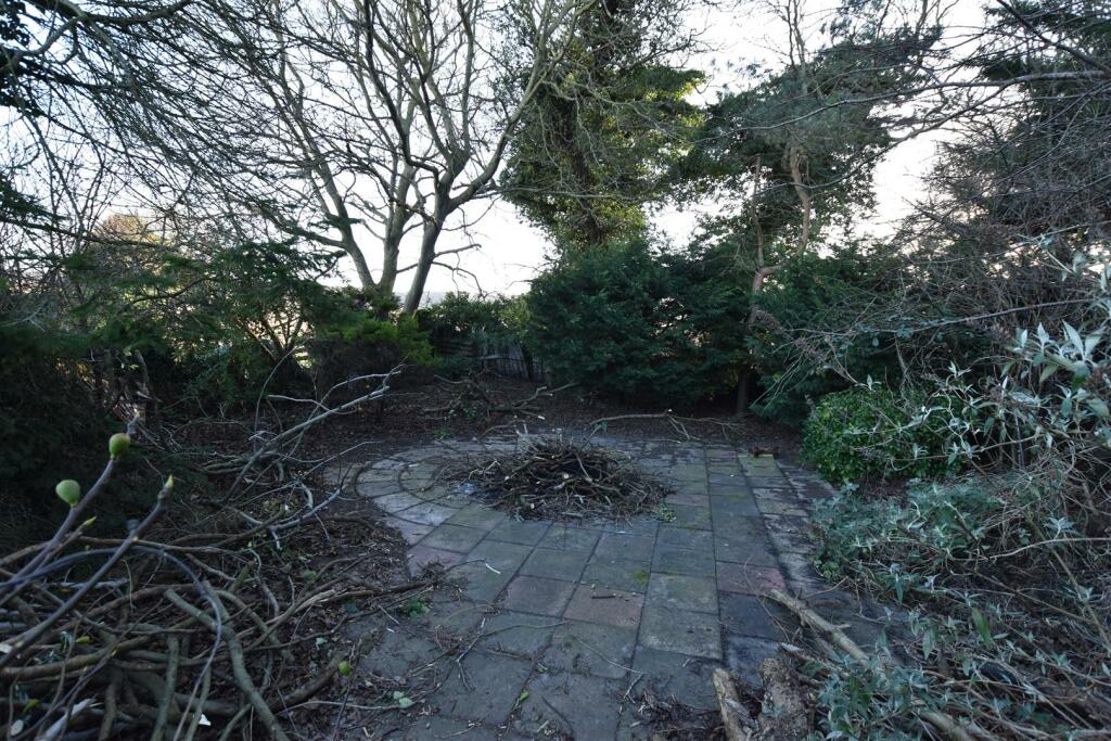DSC_0377.JPG
