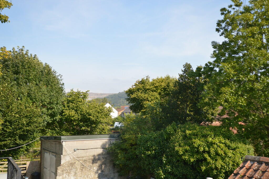 9. View from door