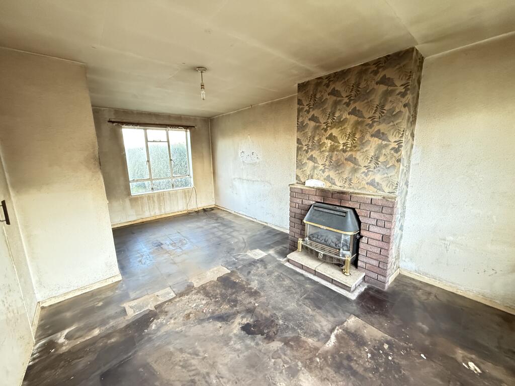 IMG 2491 T202601081127.jpg