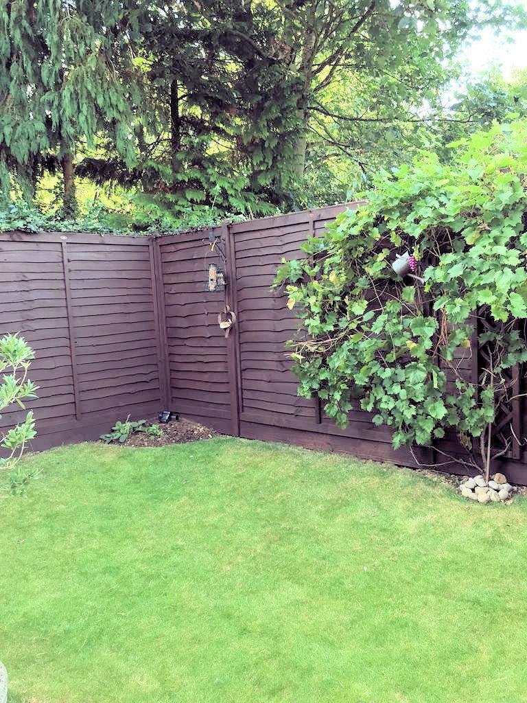 View of Rear Garden