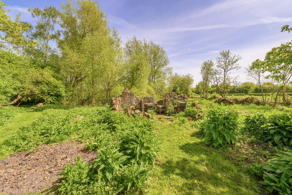 Garden 6