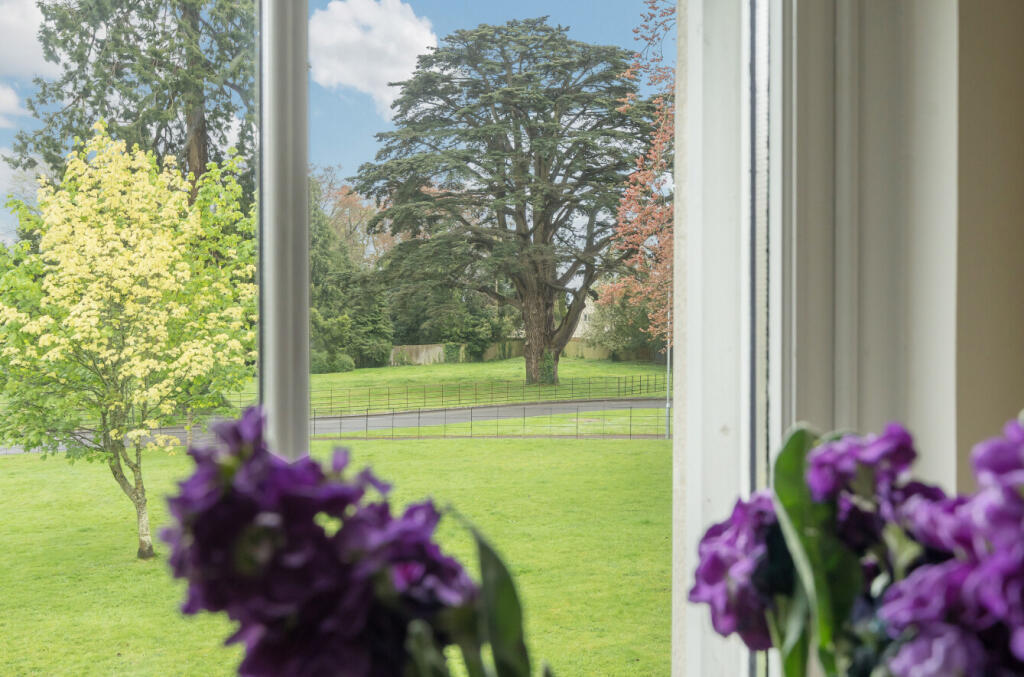 1122486   (20).jp...