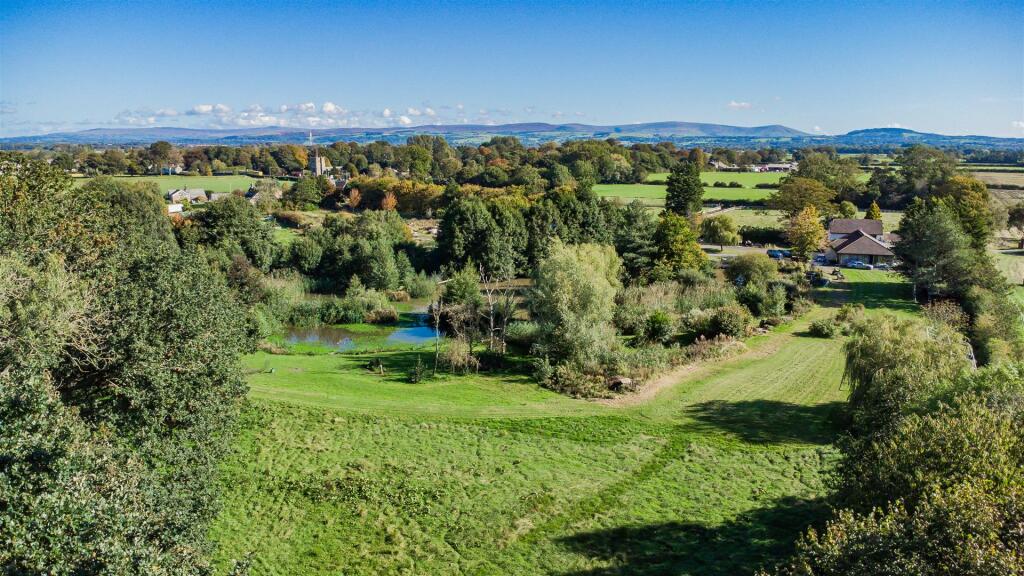 DJI_0786.jpg