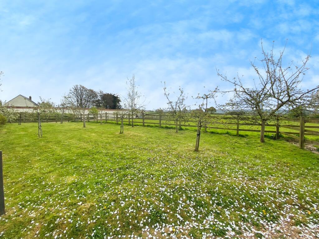 Communal Orchard