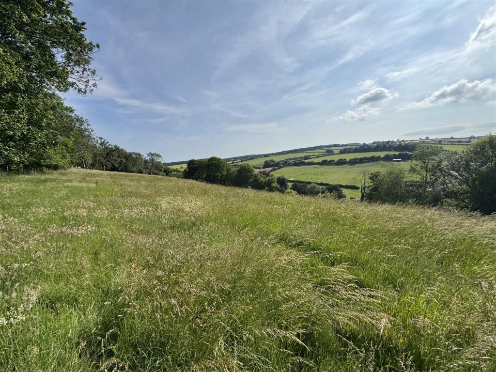 Sycamore Down Farm
