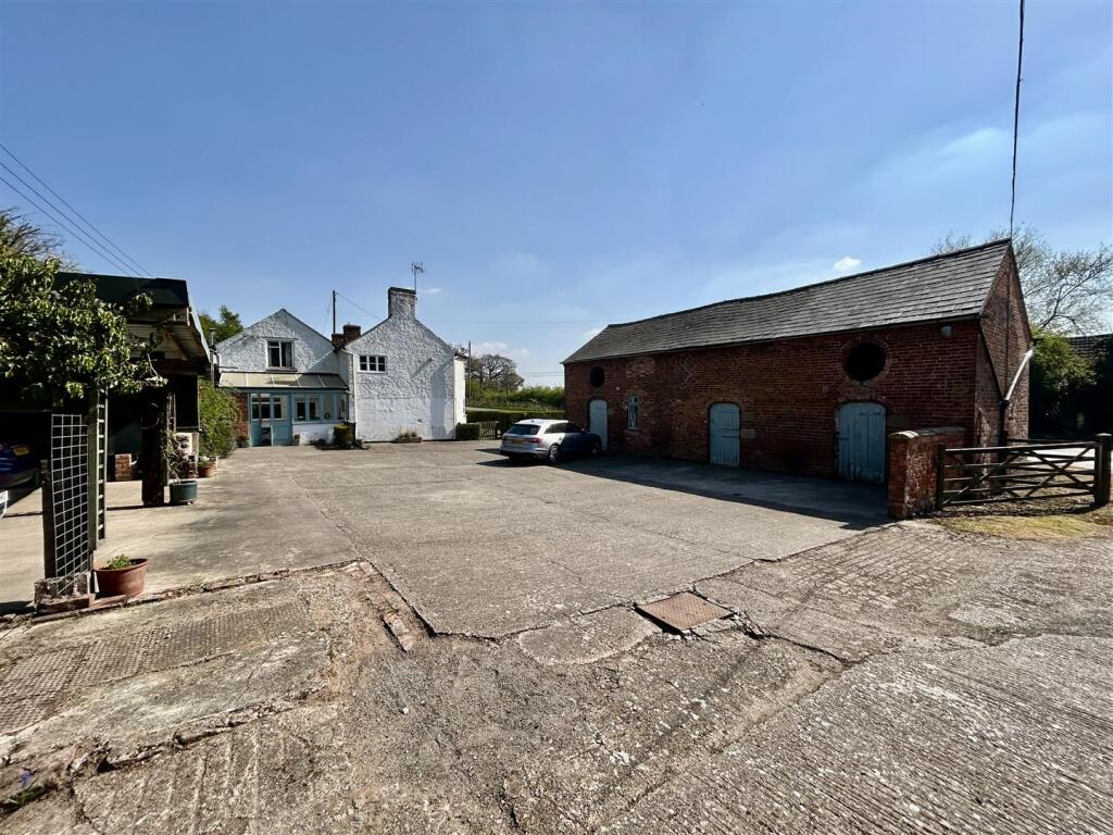 yard.JPG