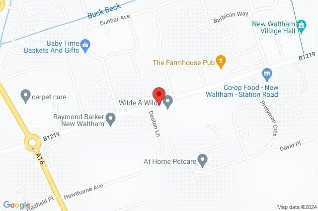 Google Maps Image