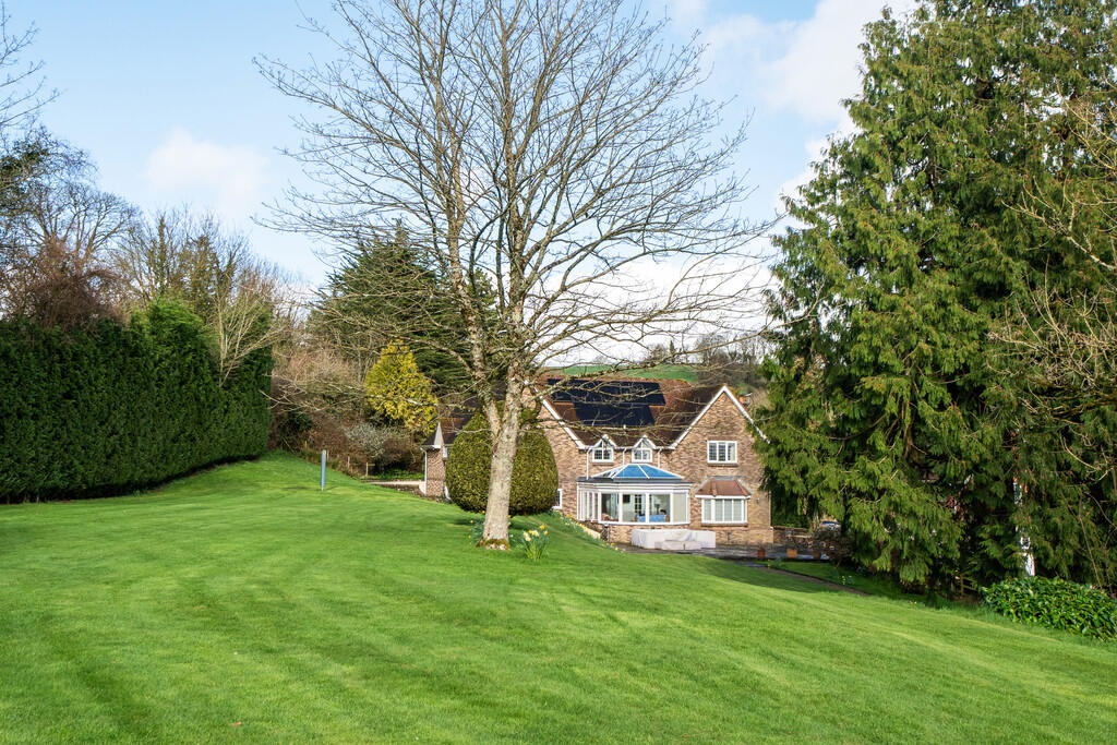 Rear of Property