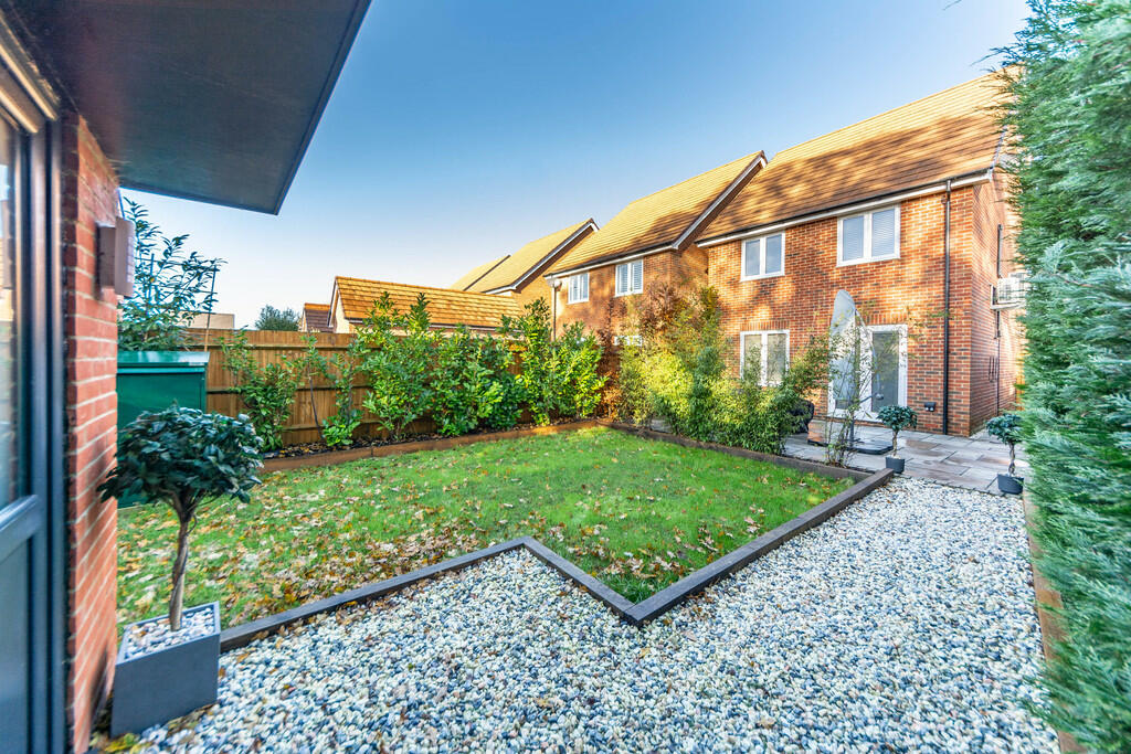 Back garden