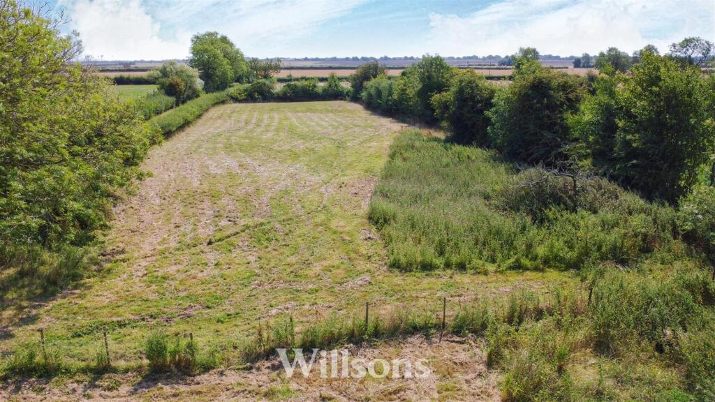 Grass Paddock