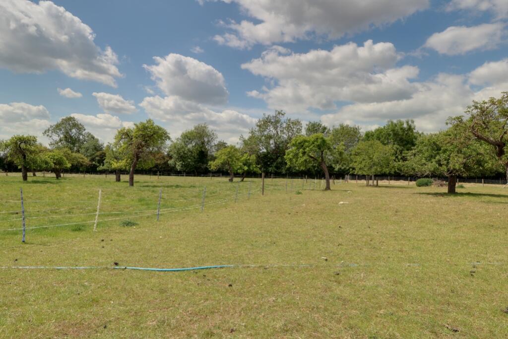 Orchard and Paddocks