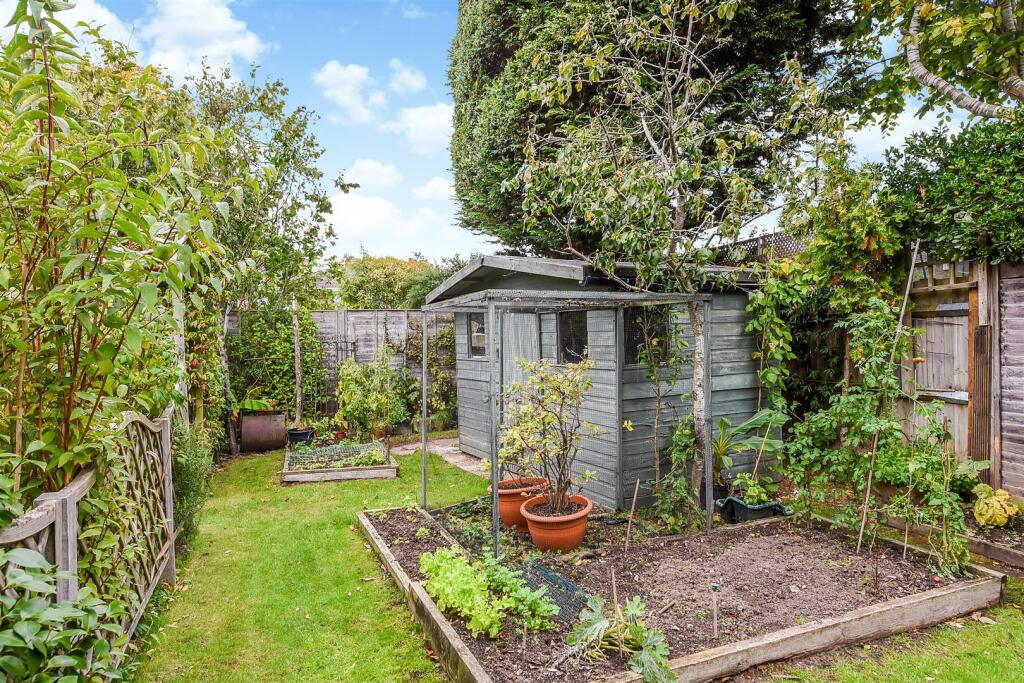 Vegetable Patch