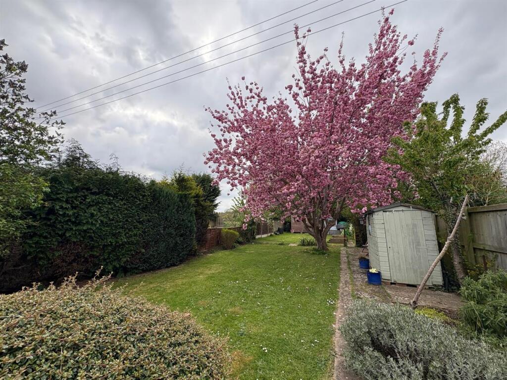 WhatsApp Image 2025-04-15 at 16.39.43_ae3eed7c.jpg