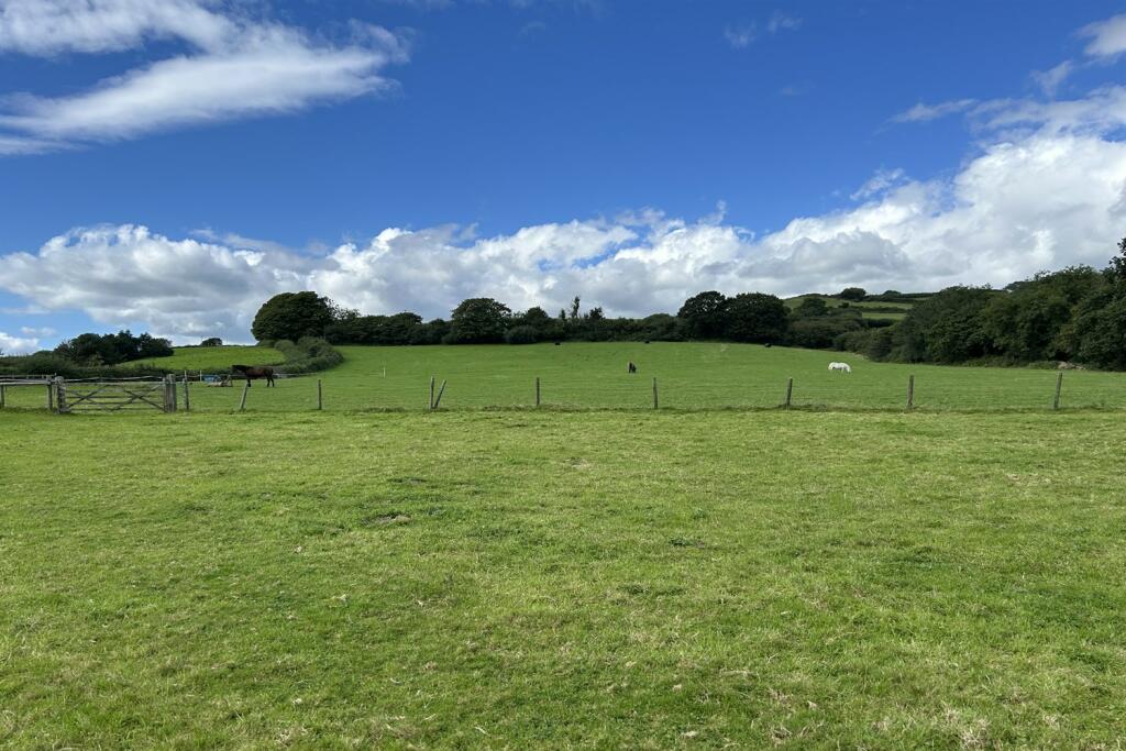 Countryside View