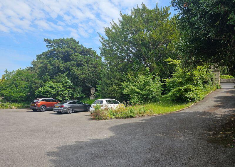 Driveway and parking