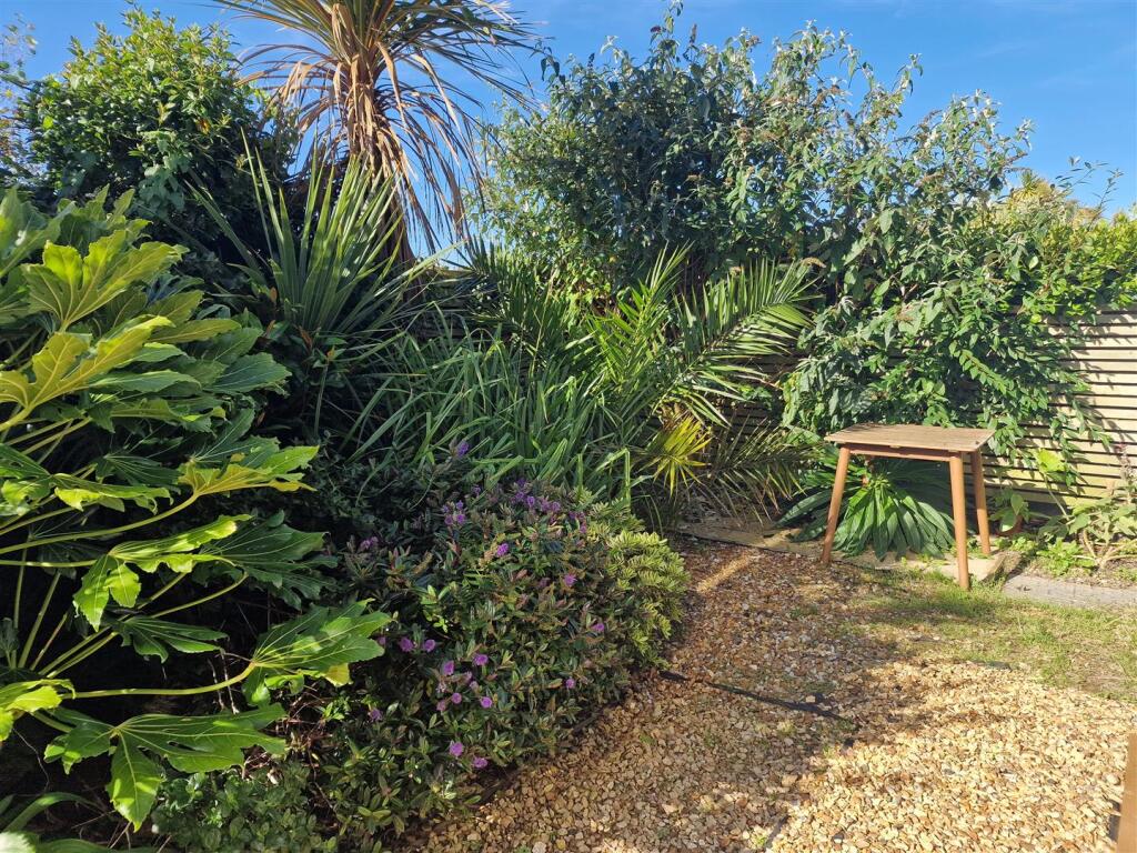 Rear Garden.