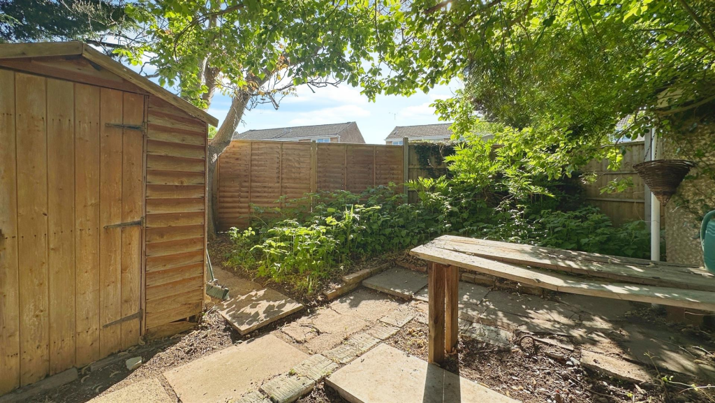 user_edited_photo-38ad4862_user-edited-2b68a035-c8