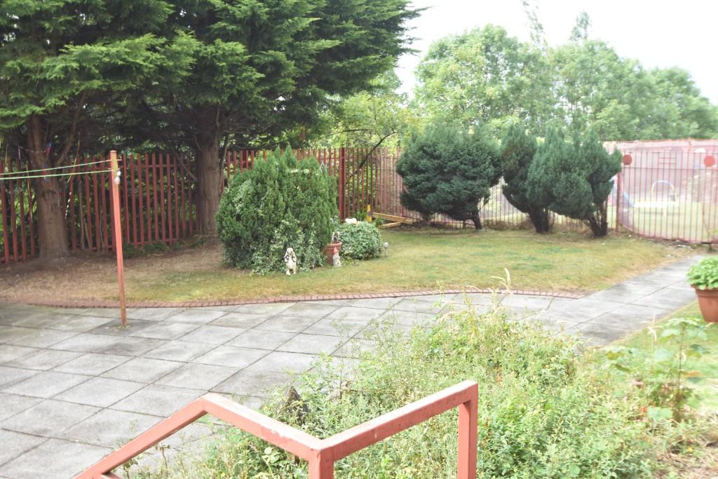 Back garden