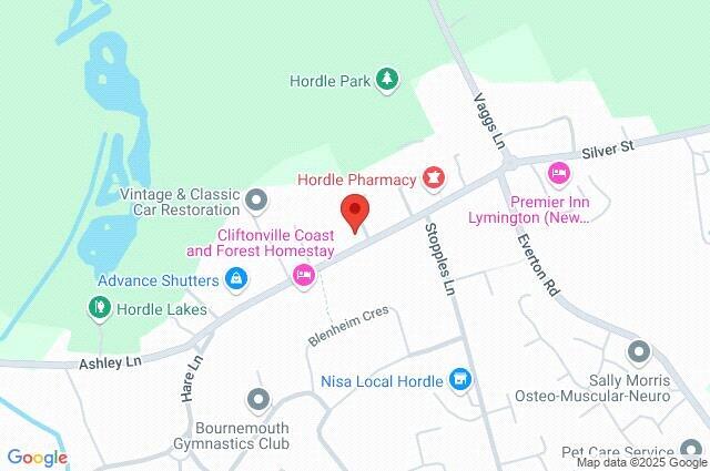 Google Maps Image