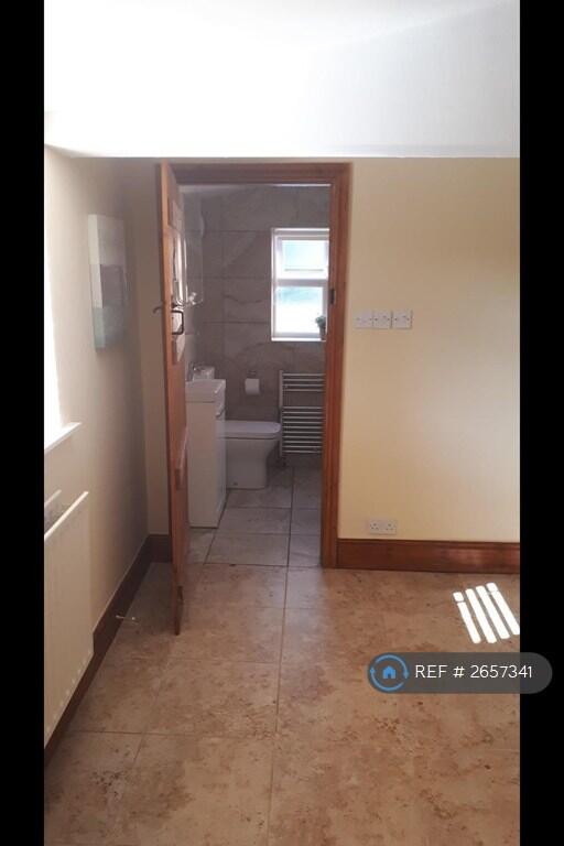 Bathroom Door