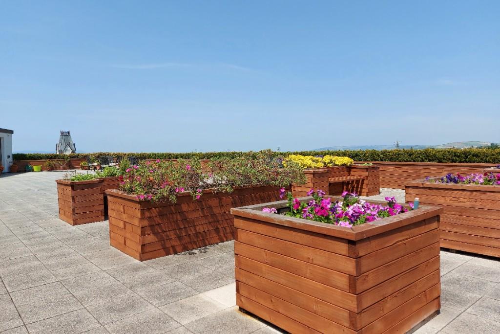 Comm. Roof Terrace
