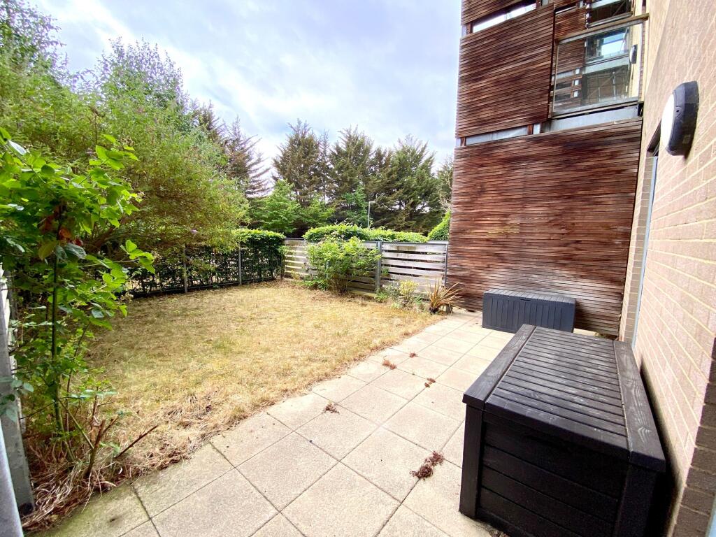 Back Garden