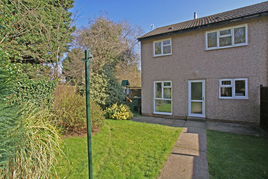 Rear 1