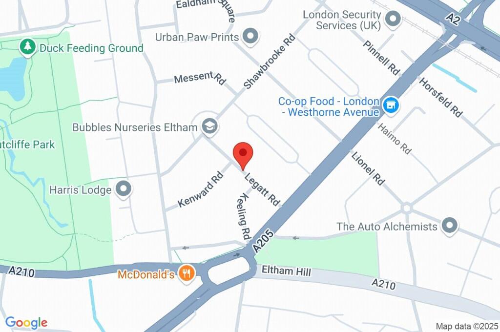 Google Maps Image