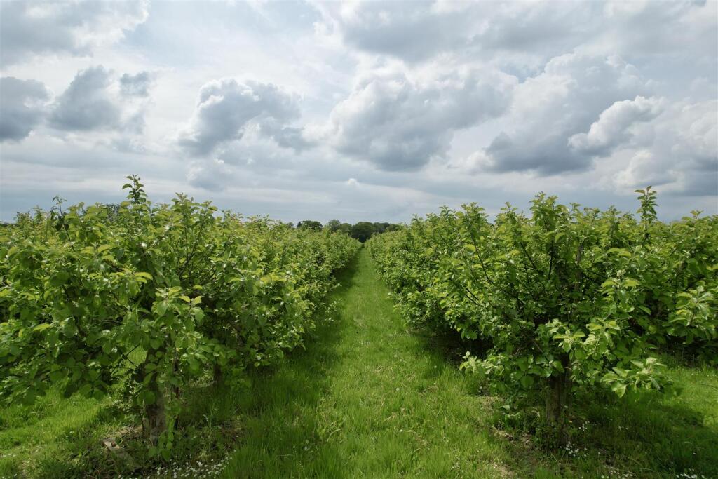 IMG_4418 Brochure 2.jpeg