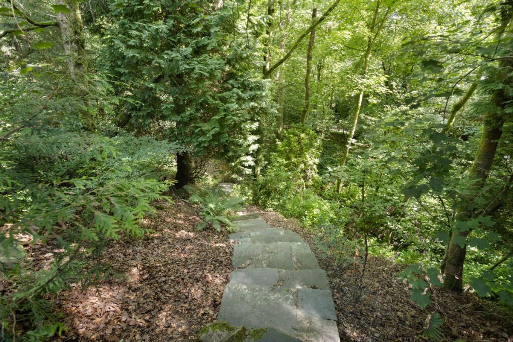 Steps down to Woodland