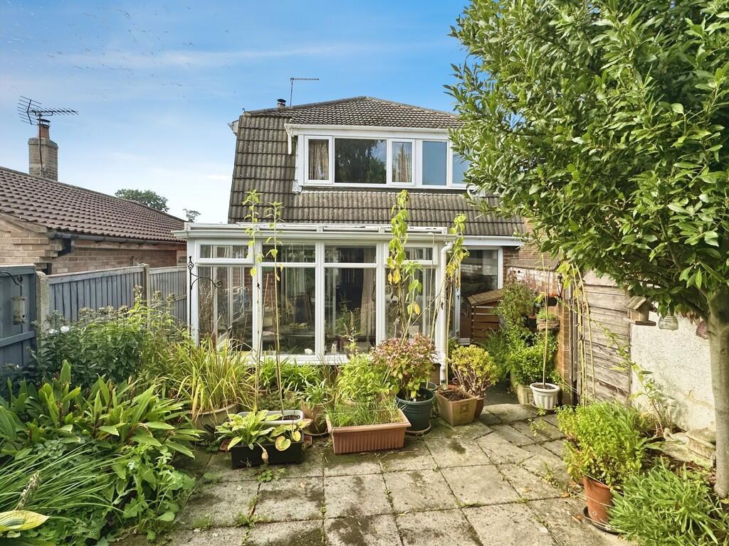 cfb76528-Rear 20N...