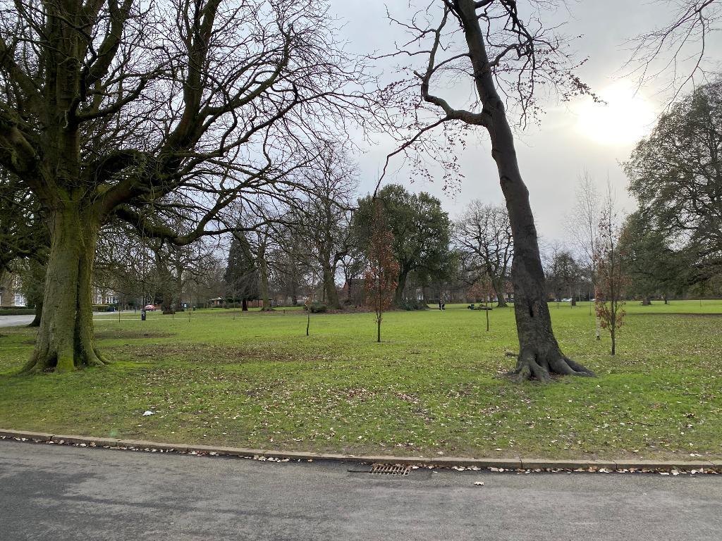 Pearson Park