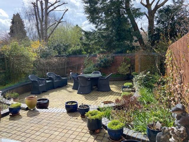 South Facing Walled Garden