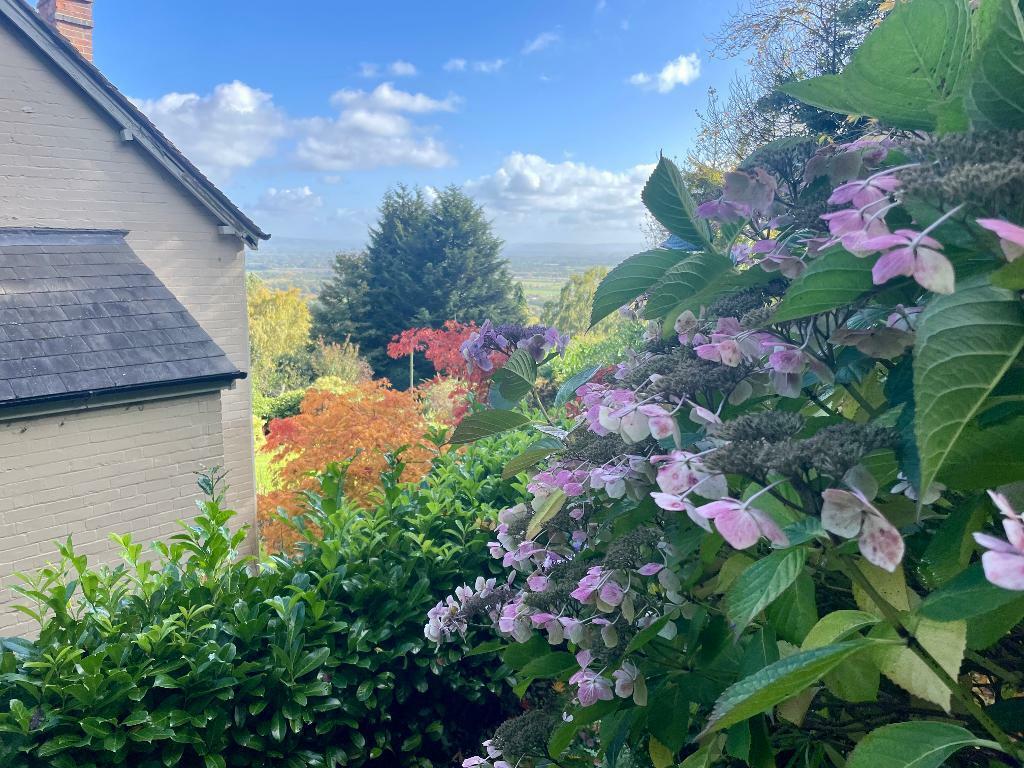 Picture perfect location