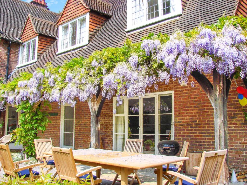 Wysteria