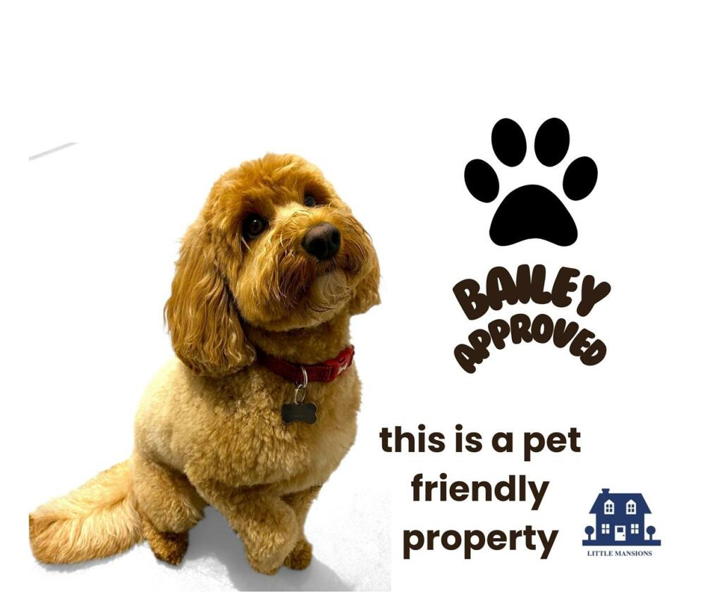 Bailey approved square.jpg