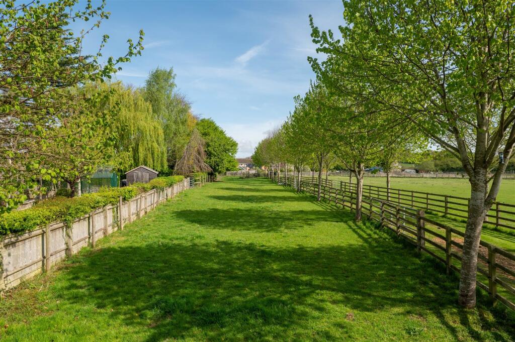 Separate Driveway Paddock