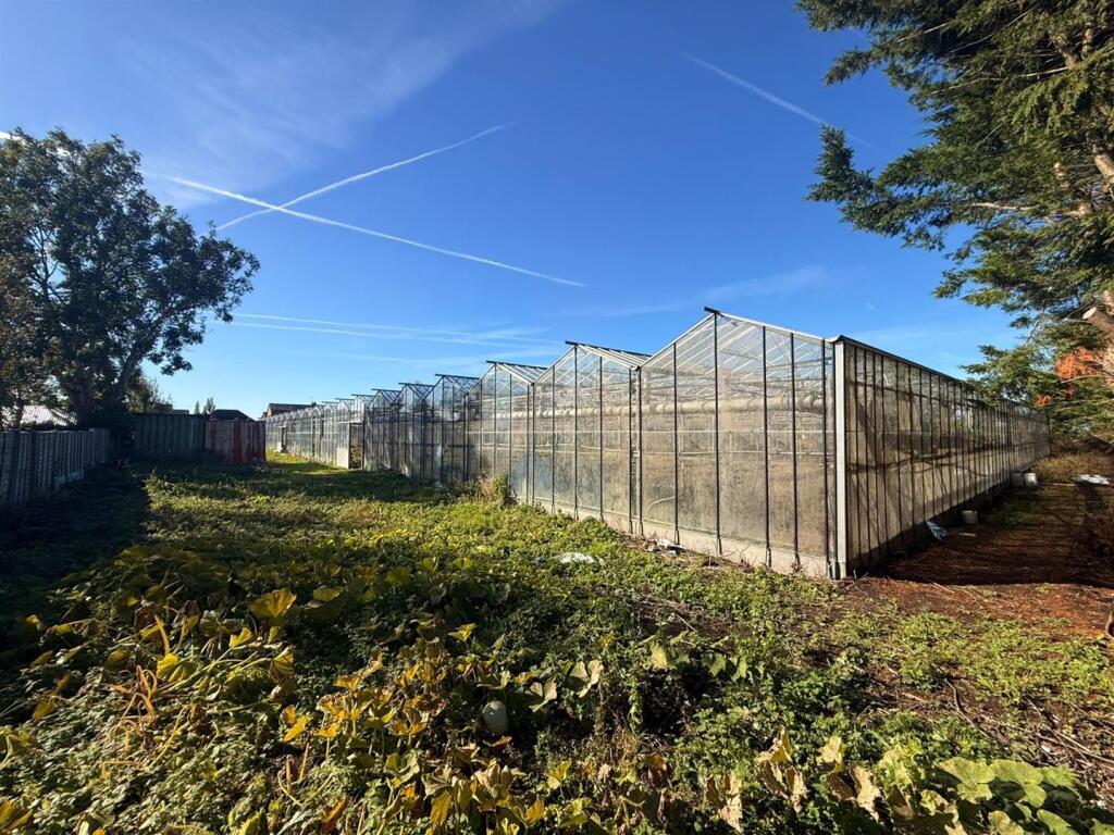 PHOTO-2025-09-24-11-48-47 5.jpg