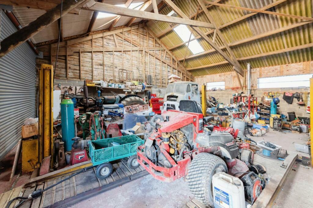 Large Barn Strawberry 4.jpeg